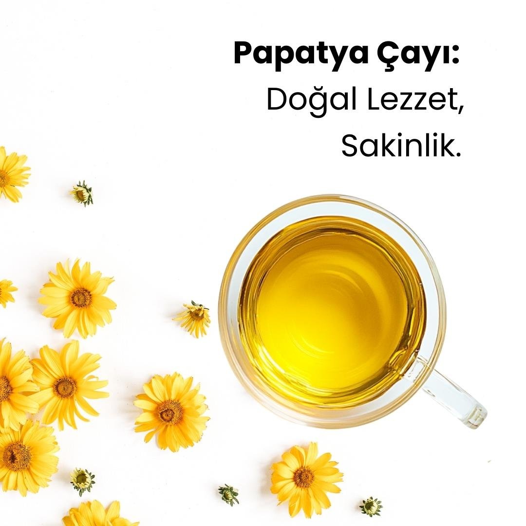 Ochay Papatya Çayı 50g