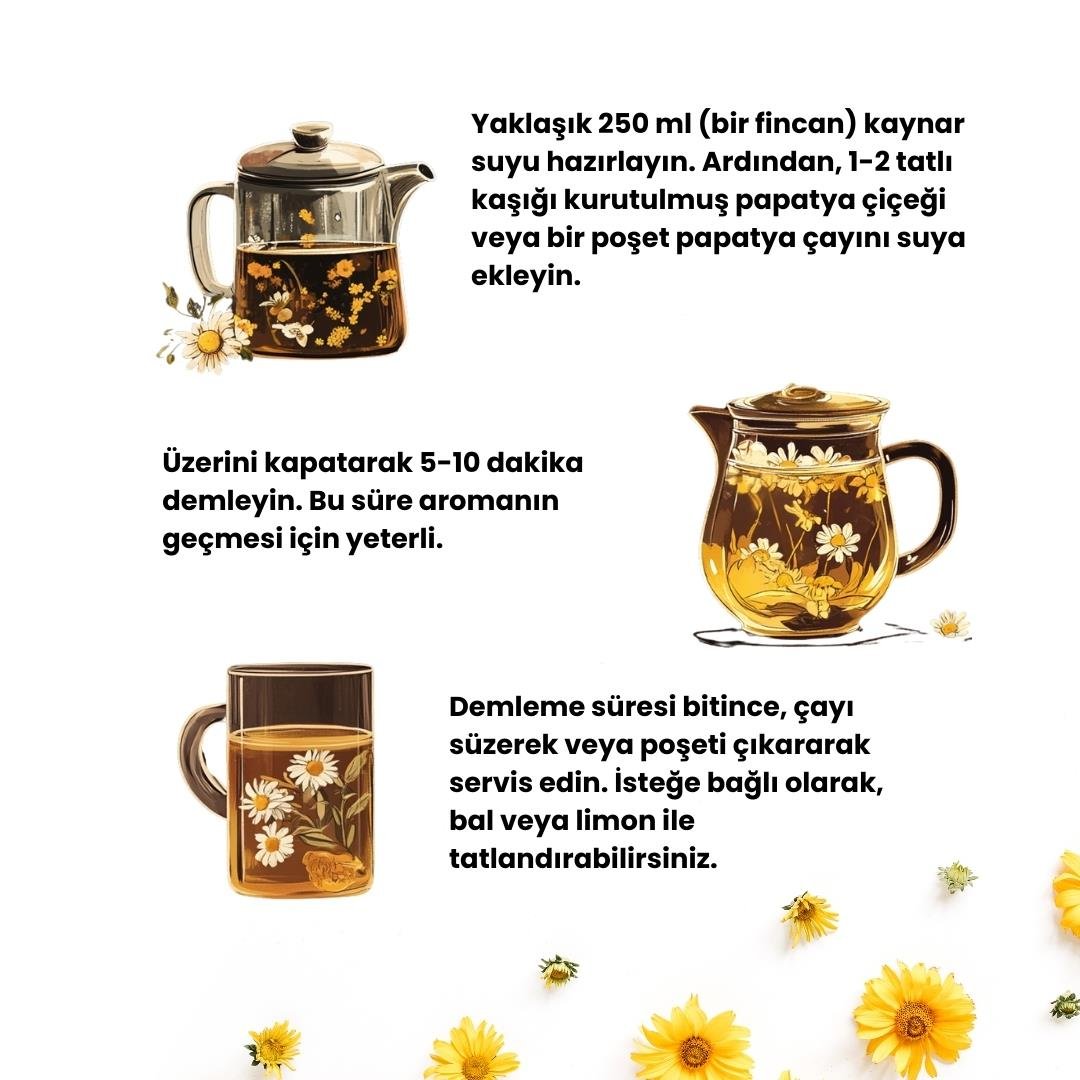 Ochay Papatya Çayı 50g