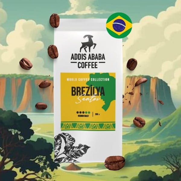 Addis Ababa Brazil Santos